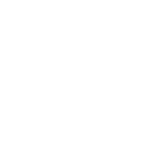 Abbé Soury